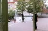 segi1_24
